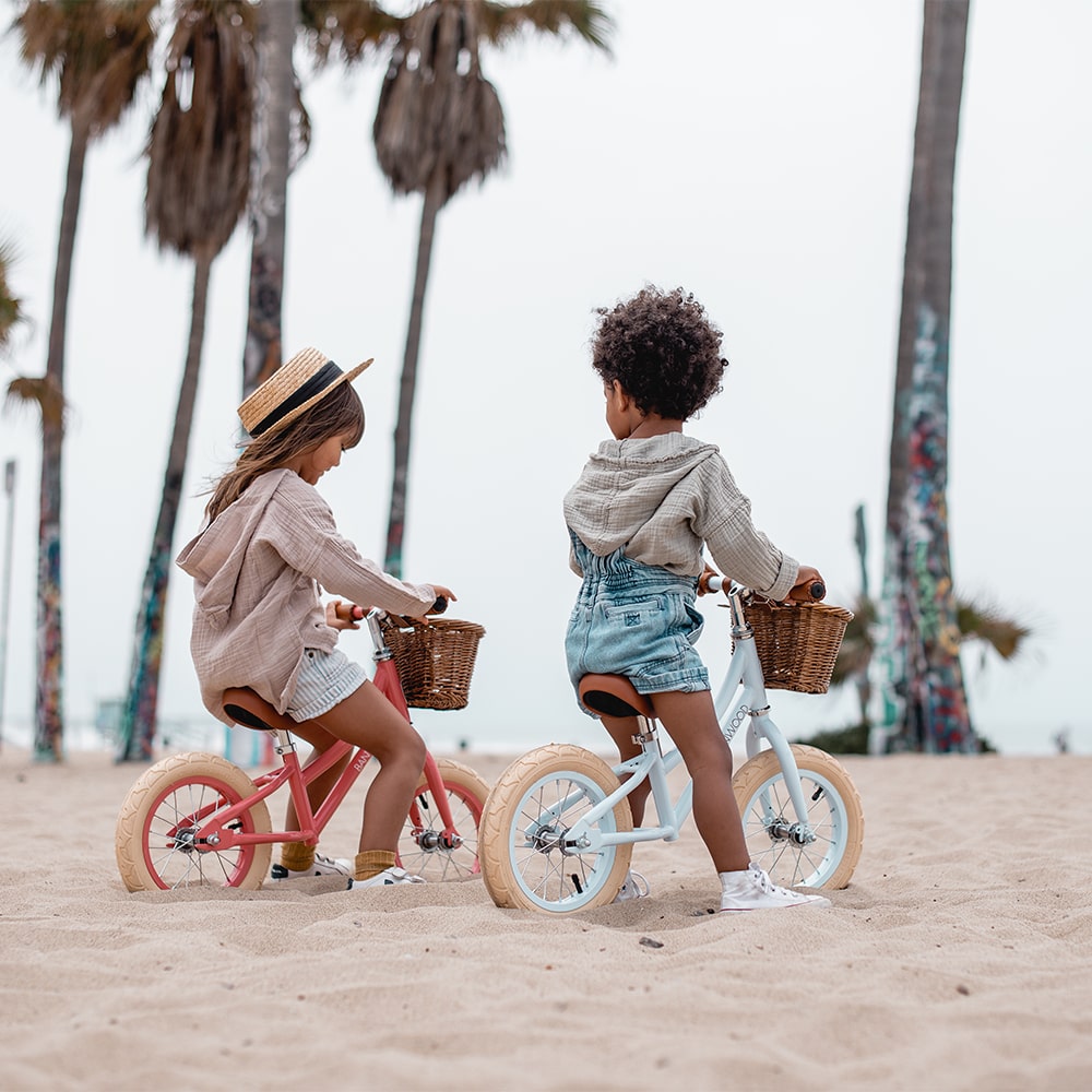 Banwood Fiets First Go Sky