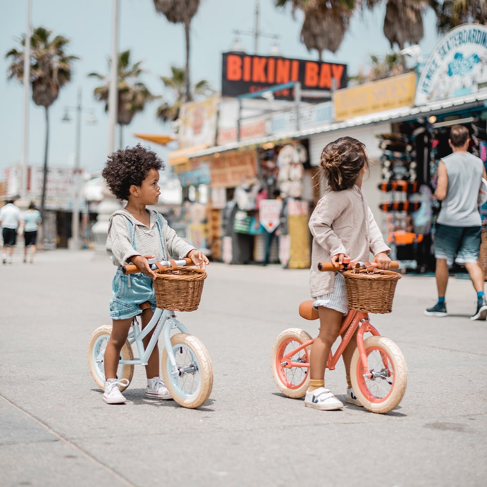 Banwood Fiets First Go Sky