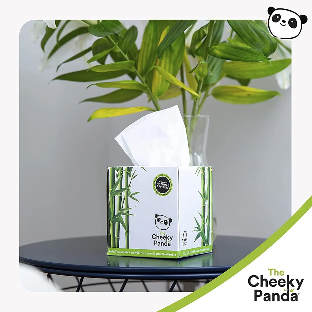 Cheeky Panda Tissue Box 56st