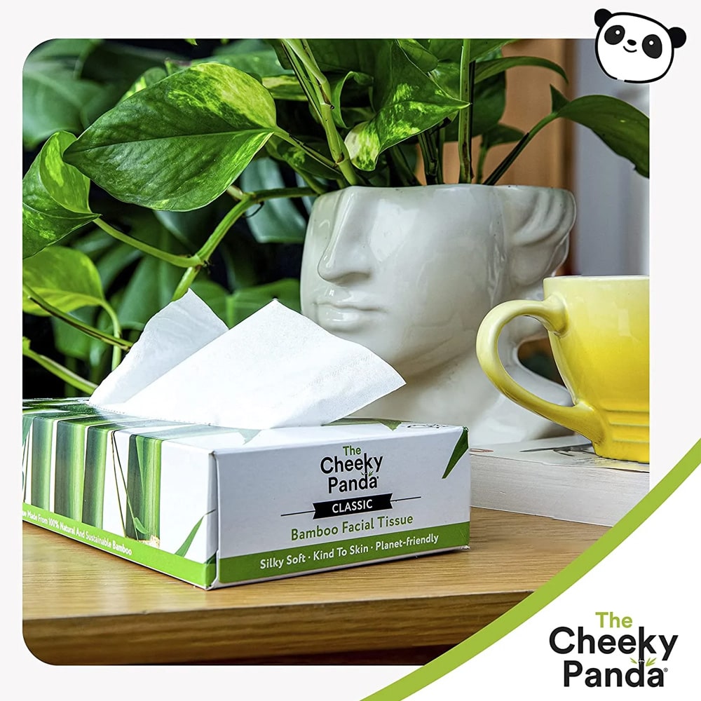 Cheeky Panda Tissues Box 80pcs