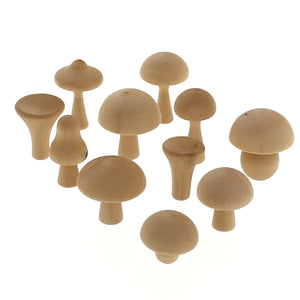 Raduga-Grez-Houten-Mushrooms-Naturel-2