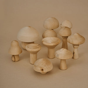 Raduga Grez Mushrooms Naturel Zij